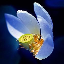 《绝地潜兵2》成索尼在美发行销售额排第七的游戏